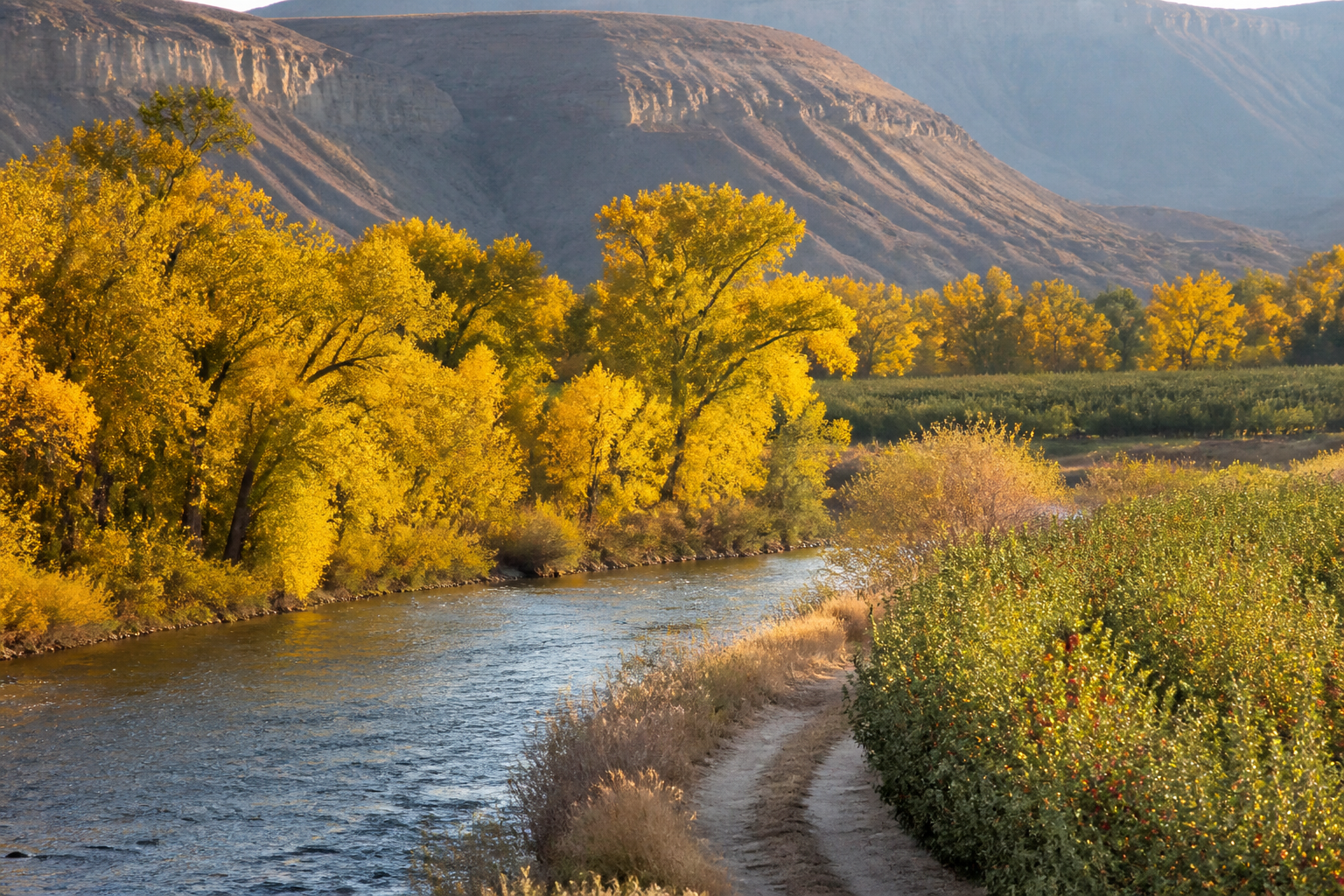 When to Visit Grand Junction: Best Time to Plan Your Trip