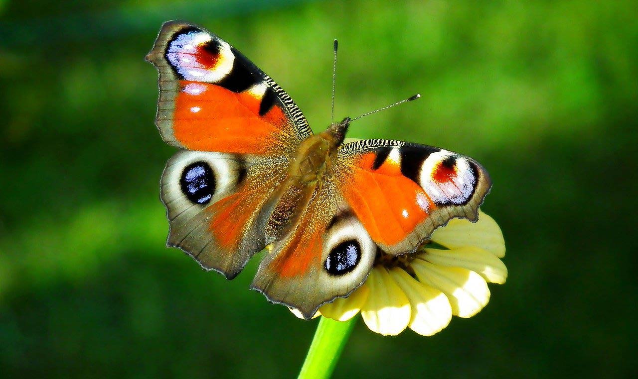 4 Reasons To Visit The English Riviera