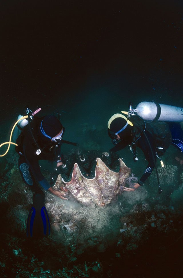 divers-raja-ampat