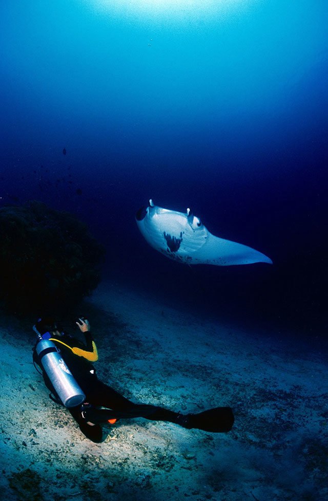 top-10-diving-spot-raja-ampat